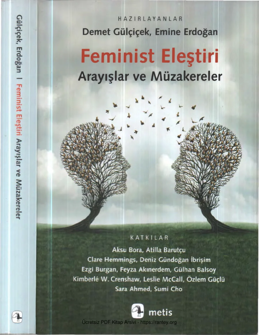 Emine Erdoğan Feminist Eleştiri kapak görseli