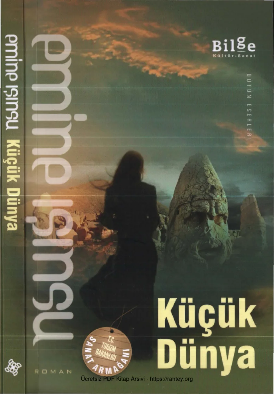 Emine Işınsu Küçük Dünya kapak görseli