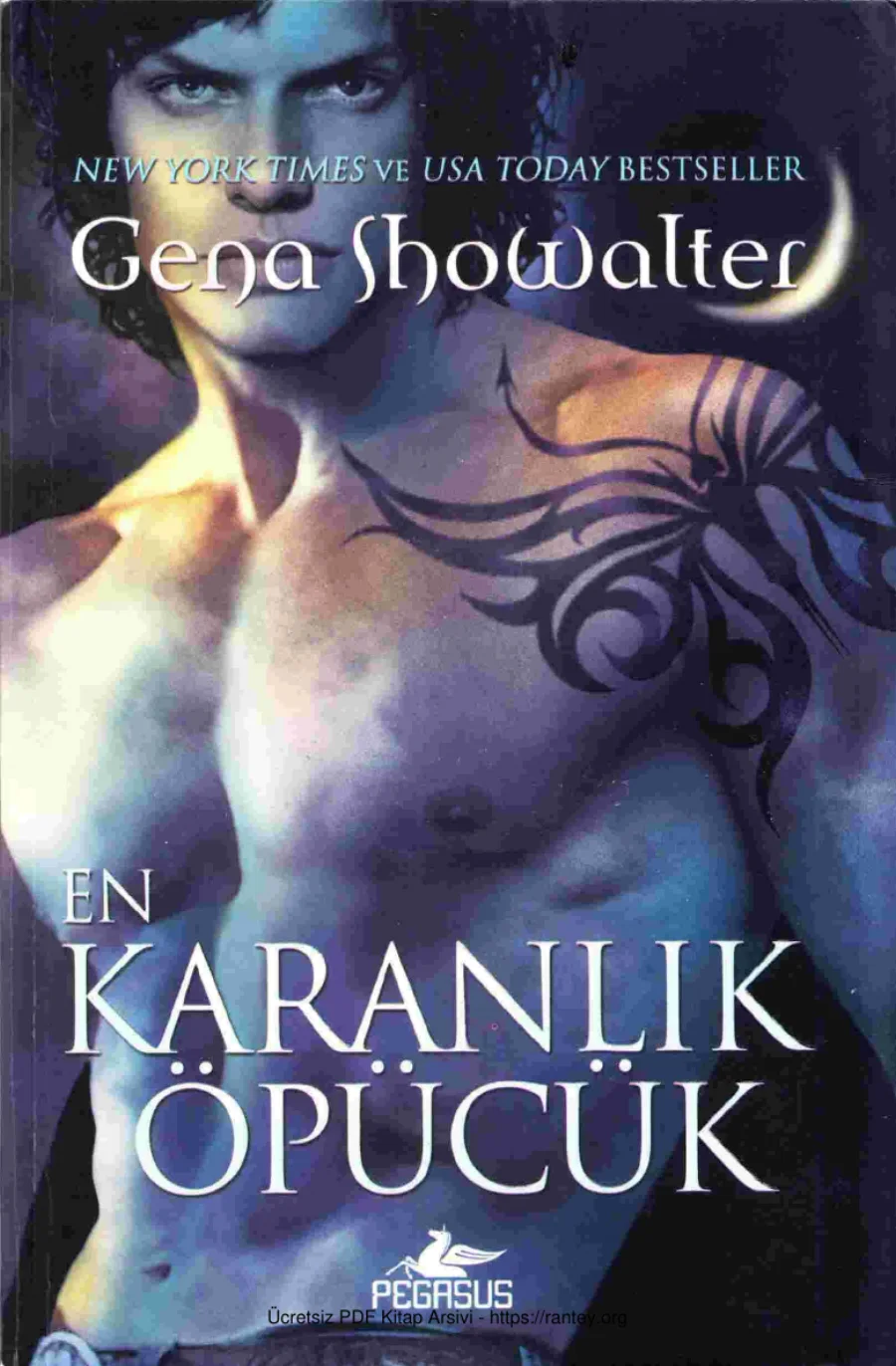 En Karanlık Öpücük kapak görseli