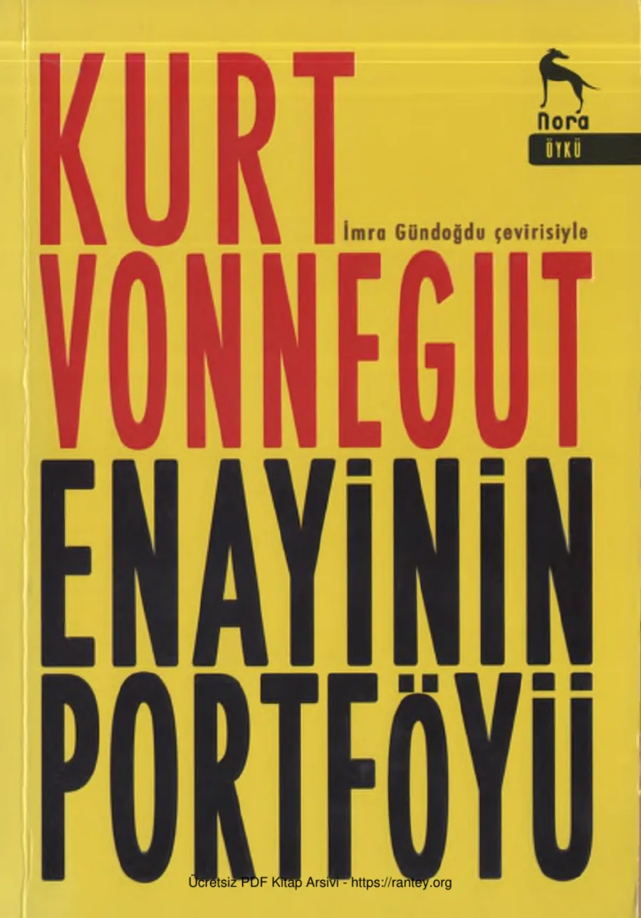Enayinin Portföyü kapak görseli