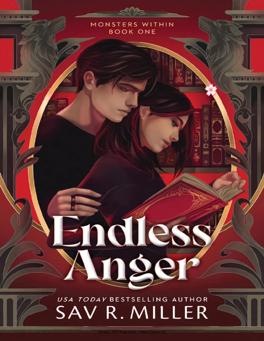 Endless Anger kapak görseli