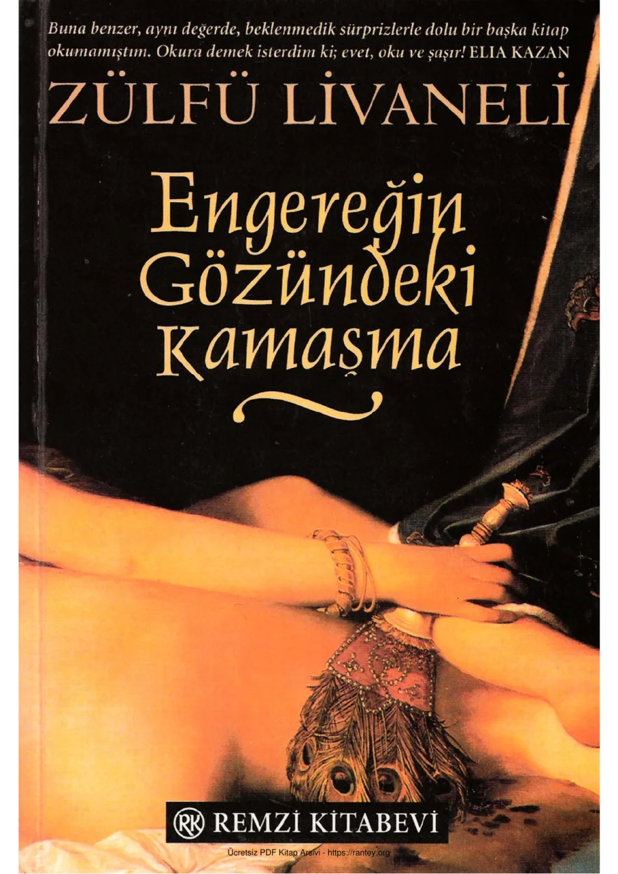 Engereğin Gözündeki Kamaşma kapak görseli