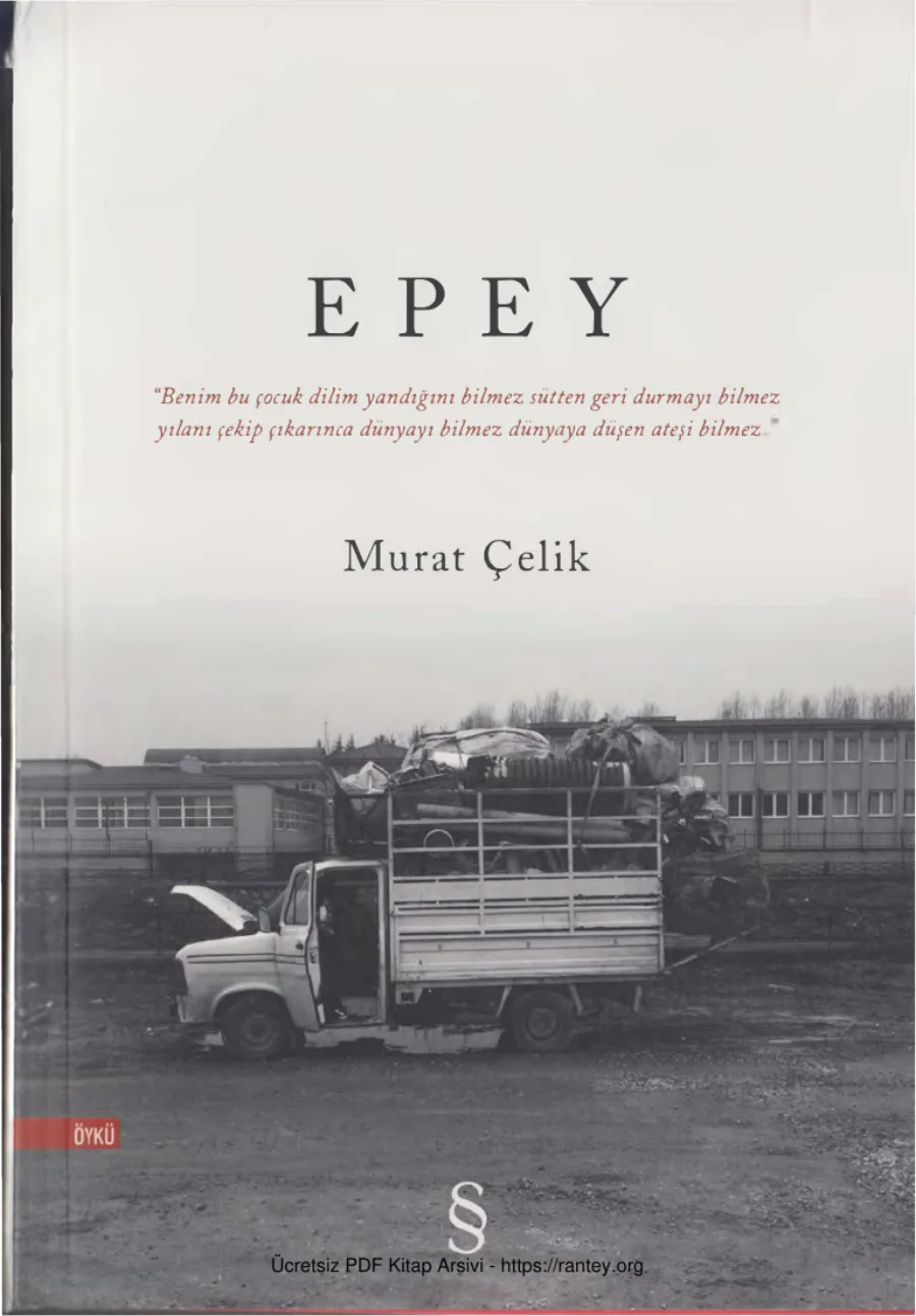 Epey Everest Yayınları kapak görseli