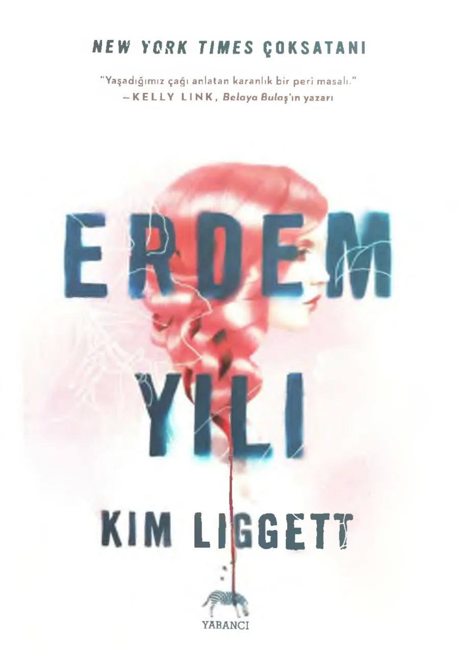 Erdem Yılı kapak görseli