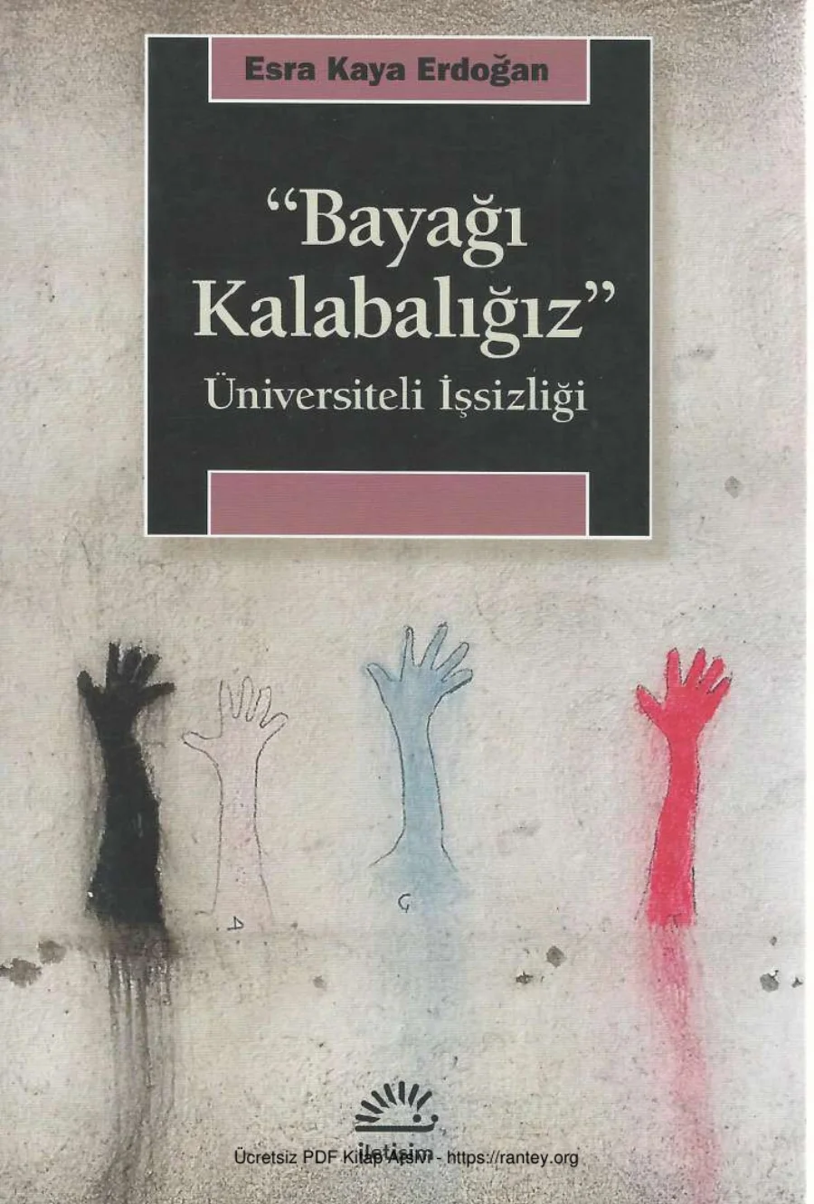 Erdoğan Bayağı Kalabalığız Üniversiteli İşsizliği kapak görseli