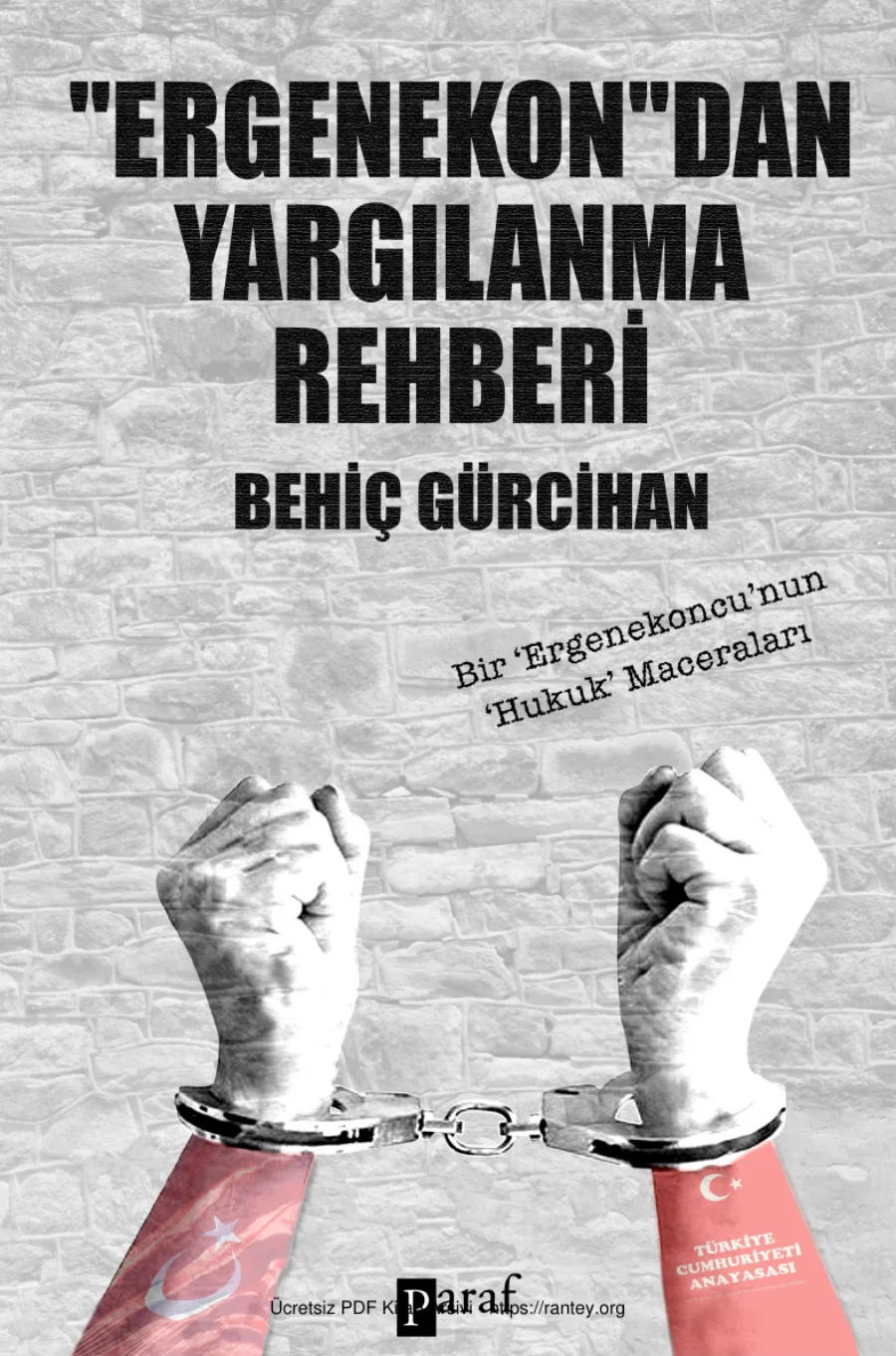 Ergenekondan Yargılanma Rehberi kapak görseli