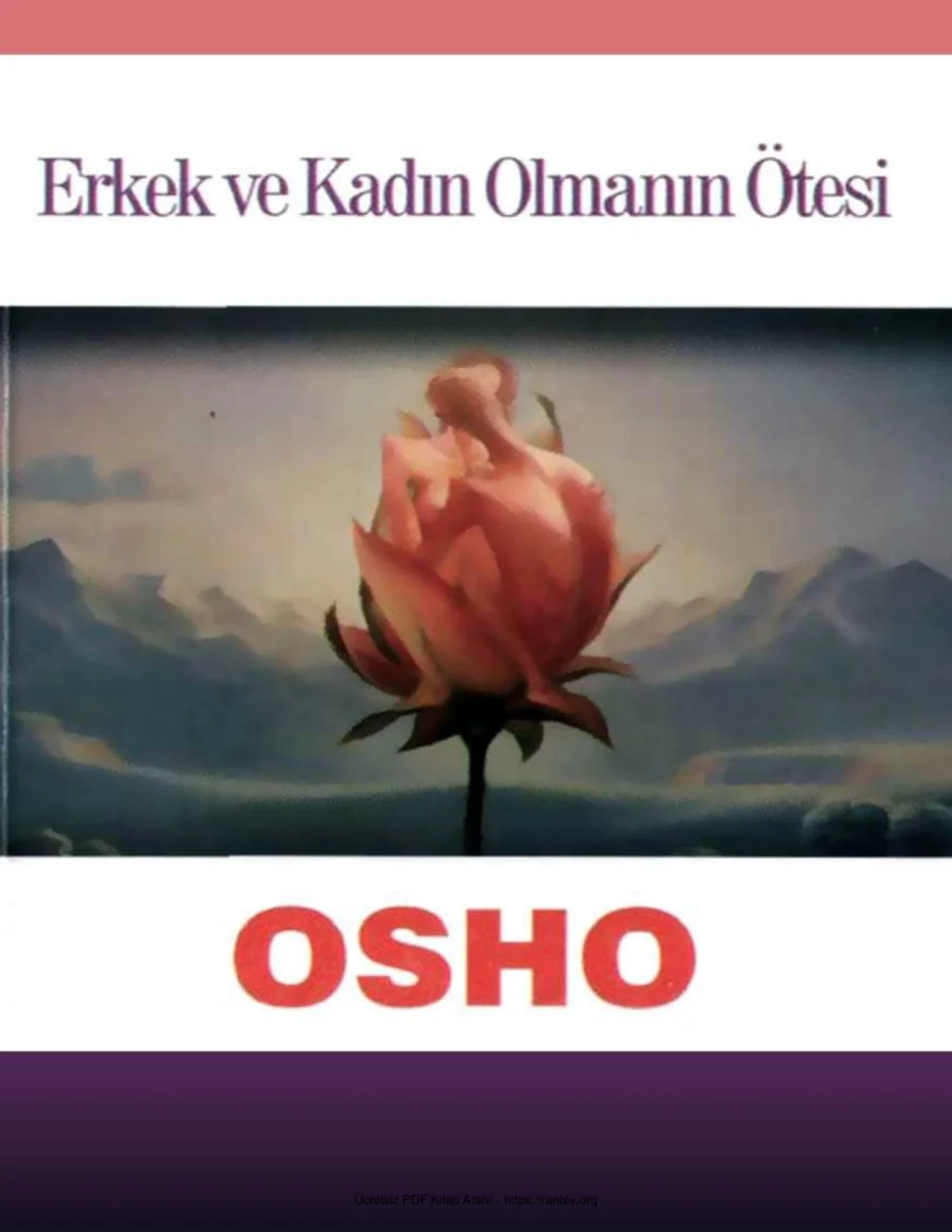 Erkek ve Kadın Olmanın Ötesi kapak görseli