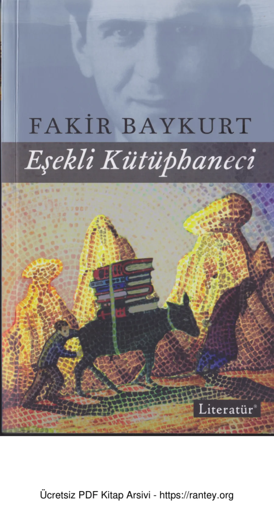 Eşekli Kütüphaneci Literatür Yayınları kapak görseli