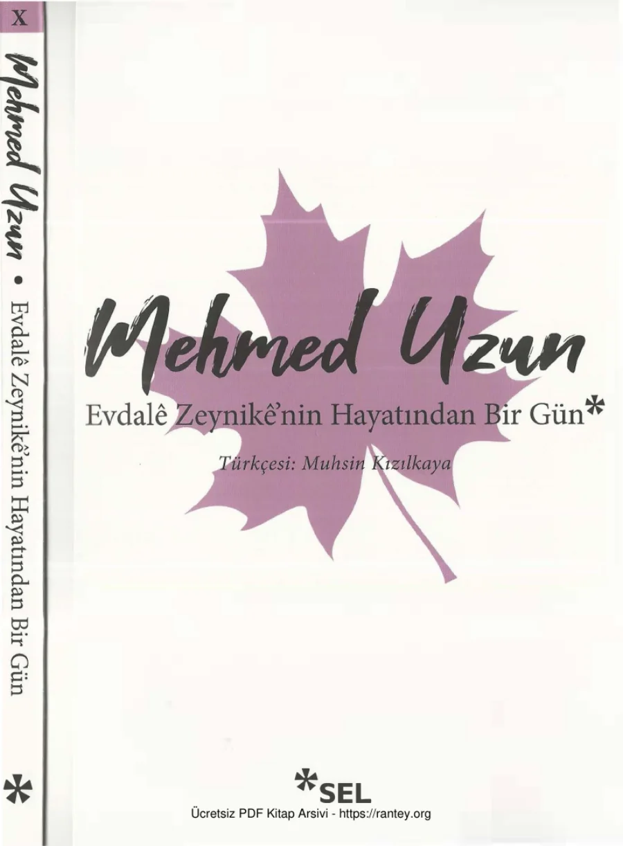 Evdale Zeynikenin Hayatından Bir Gün kapak görseli