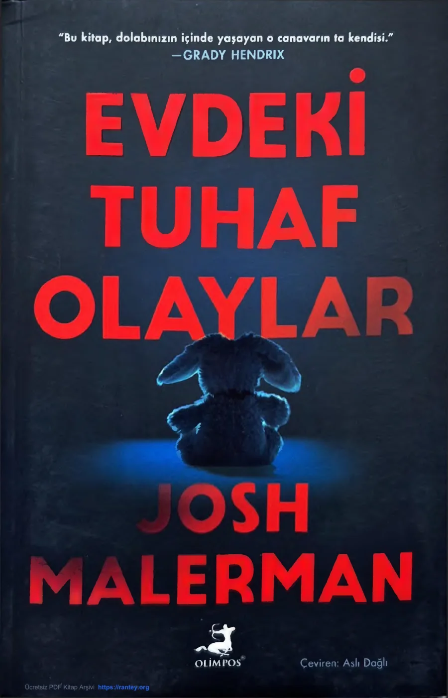 Evdeki Tuhaf Olaylar kapak görseli