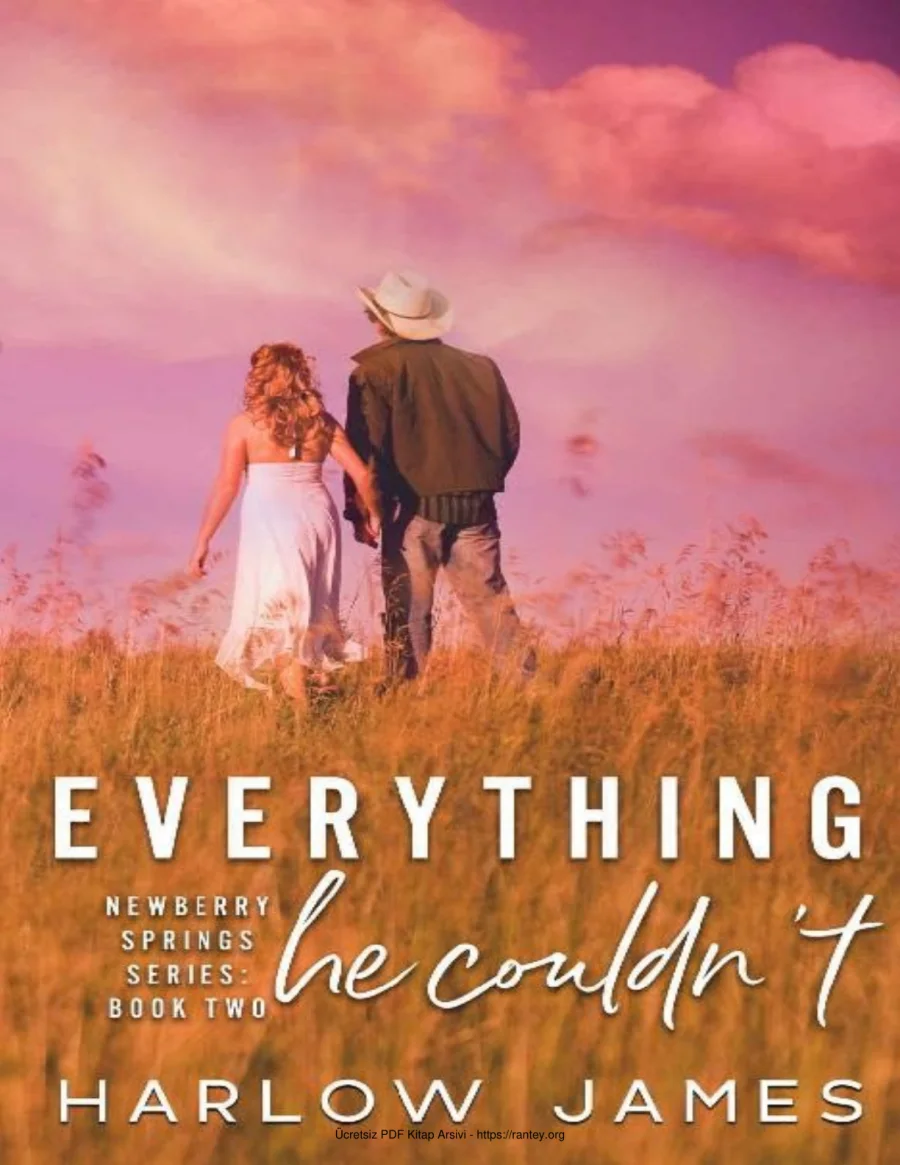 Everything He Couldnt kapak görseli