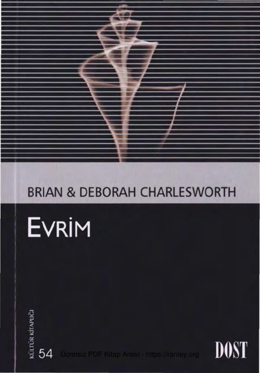 Evrim kapak görseli