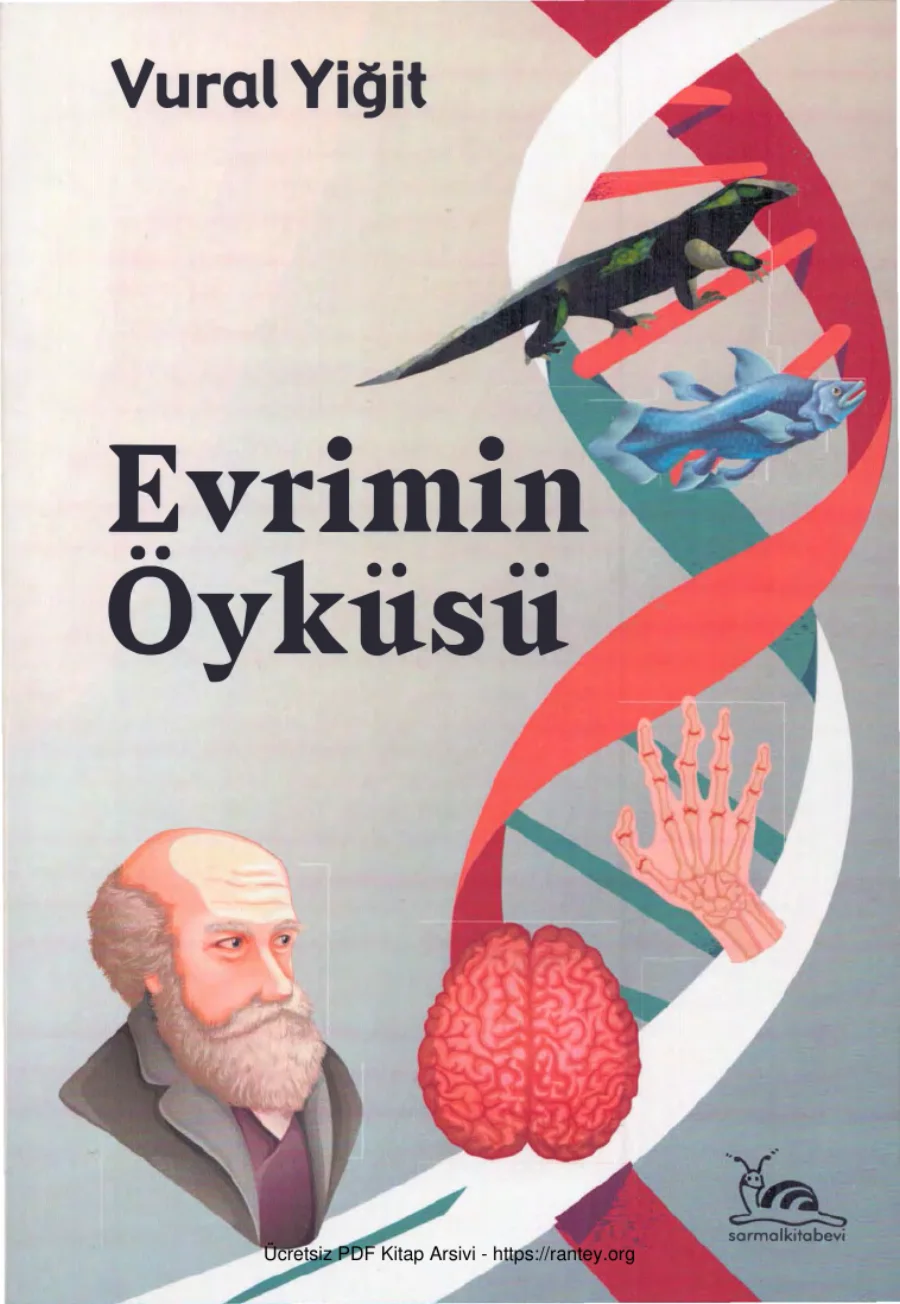 Evrimin Öyküsü Sarmal Yayınları kapak görseli