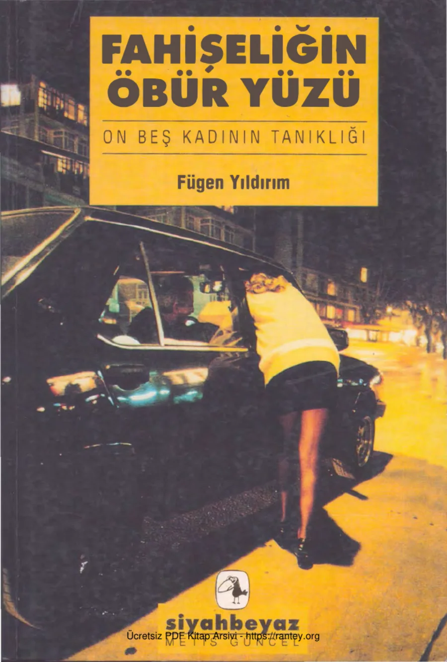 Fahişeliğin Öbür Yüzü kapak görseli