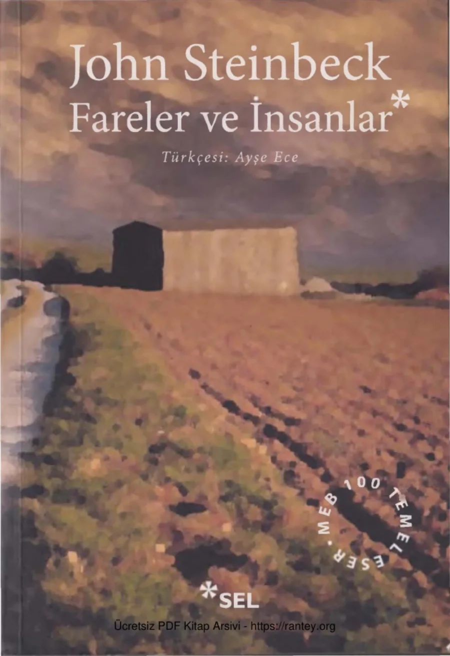 Fareler ve İnsanlar Sel Yayınları kapak görseli