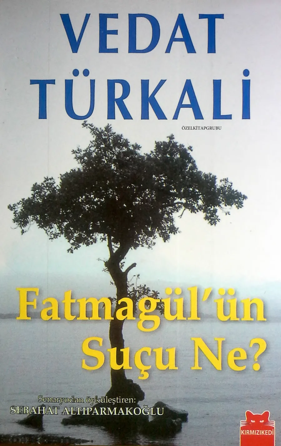 Fatmagül'ün Suçu Ne? kapak görseli