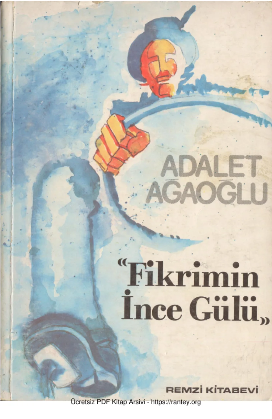 Fikrimin İnce Gülü kapak görseli