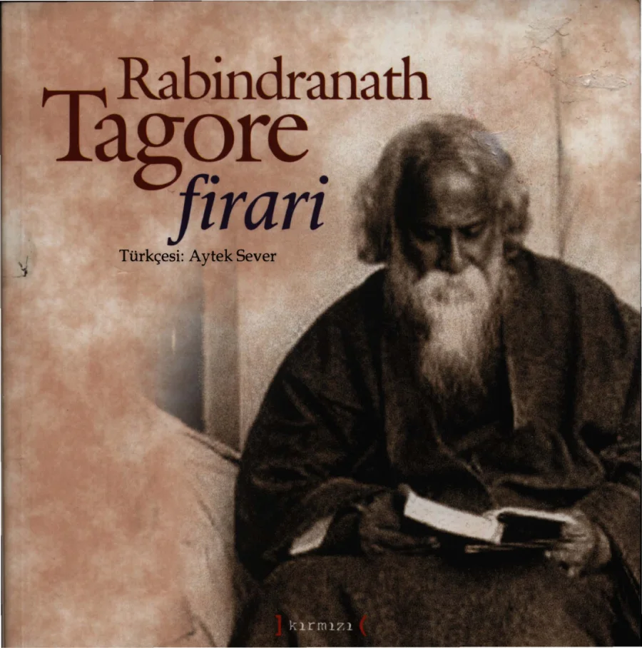 Firari kitap kapağı
