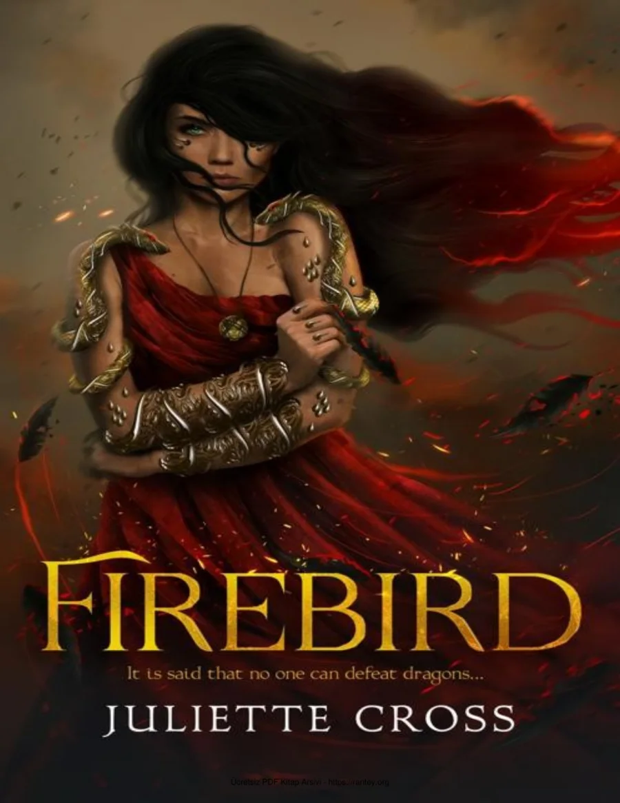 Firebird kapak görseli
