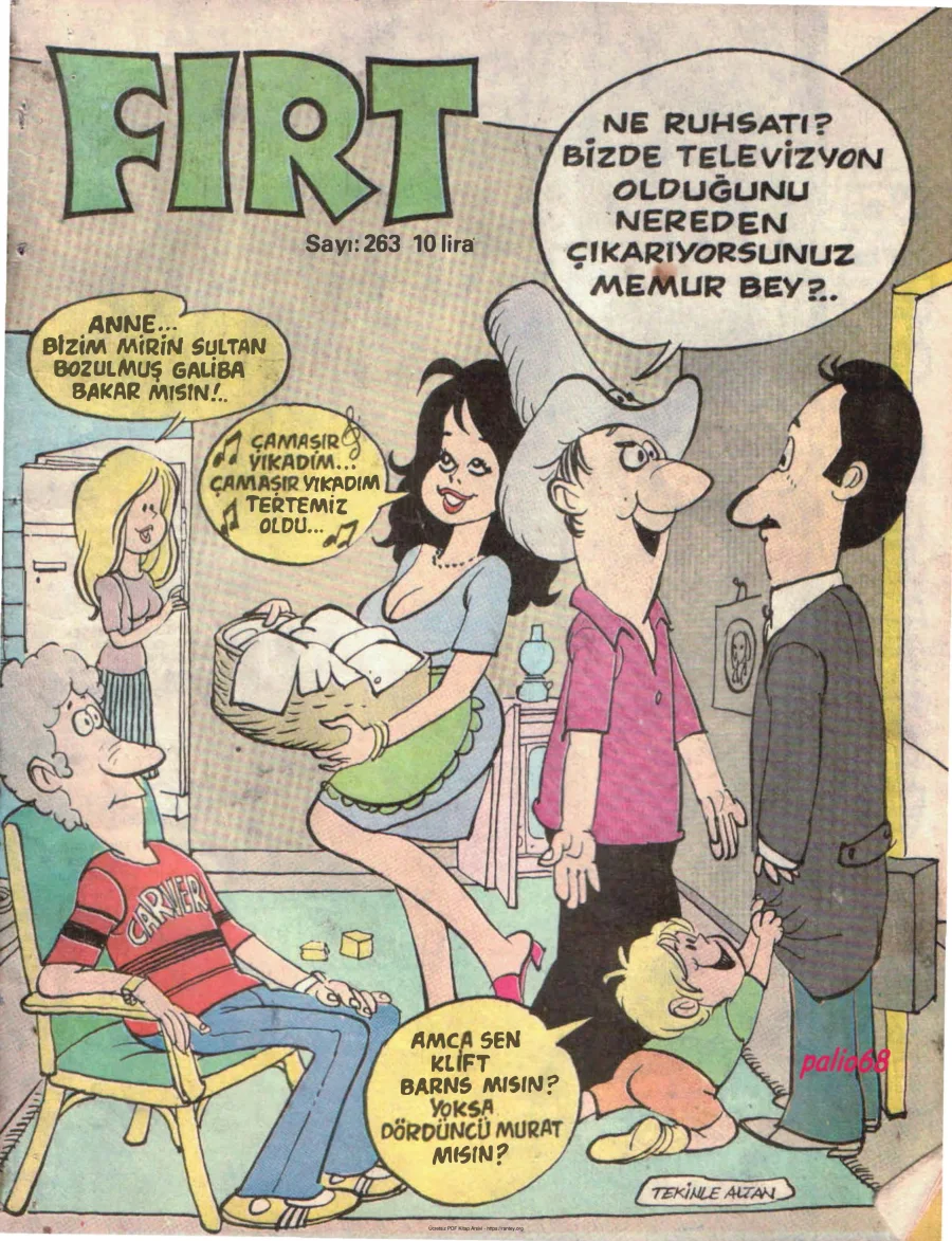 Fırt 1981 Sayı 263 kapak görseli