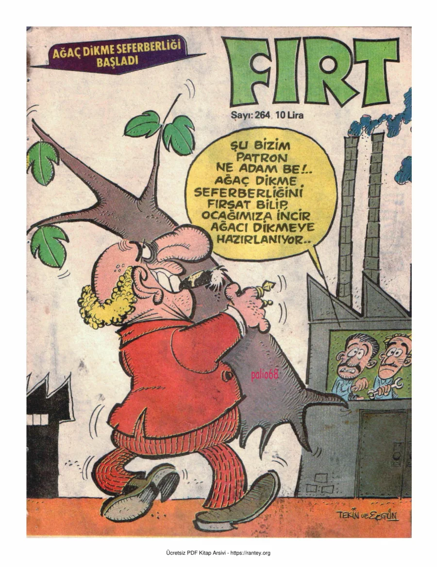 Fırt 1981 Sayı 264 kapak görseli