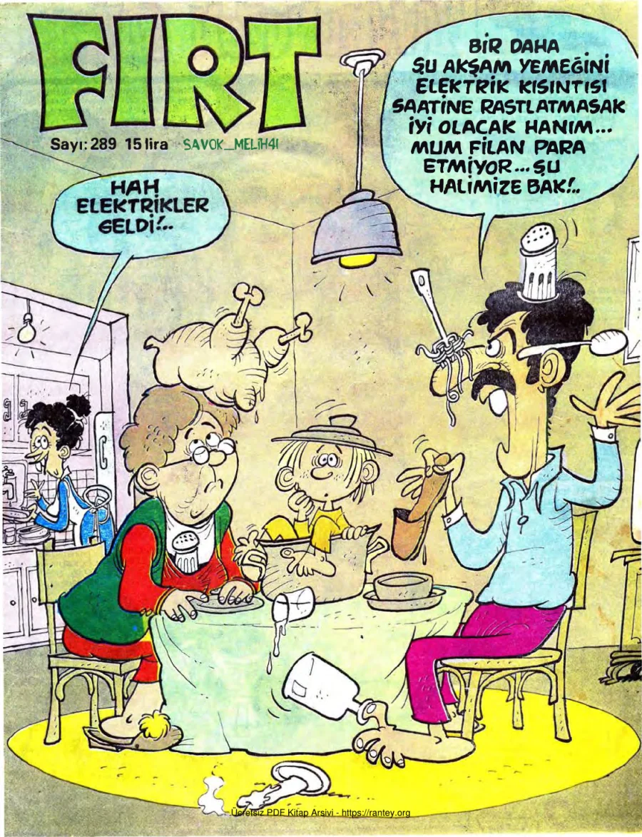 Fırt 1981 Sayı 289 kapak görseli