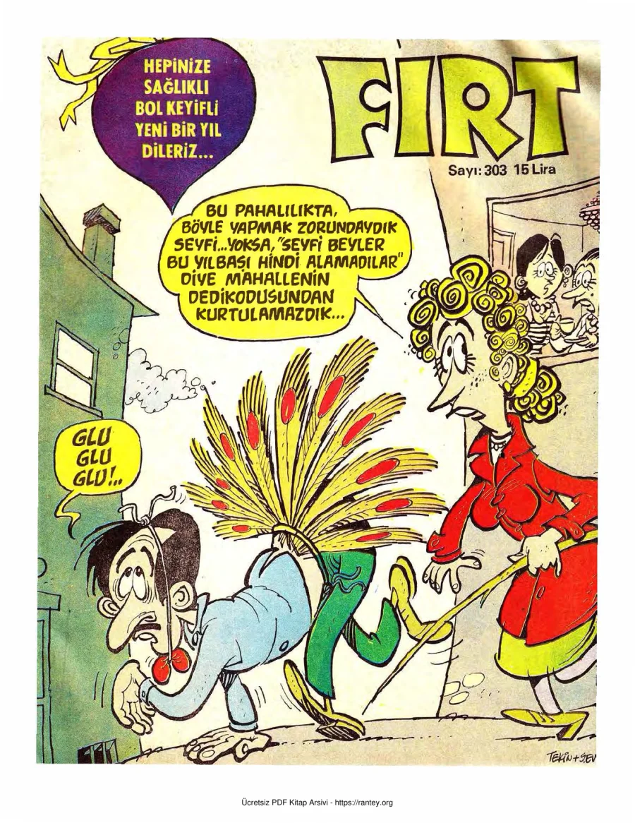 Fırt 1981 Sayı 303 kapak görseli