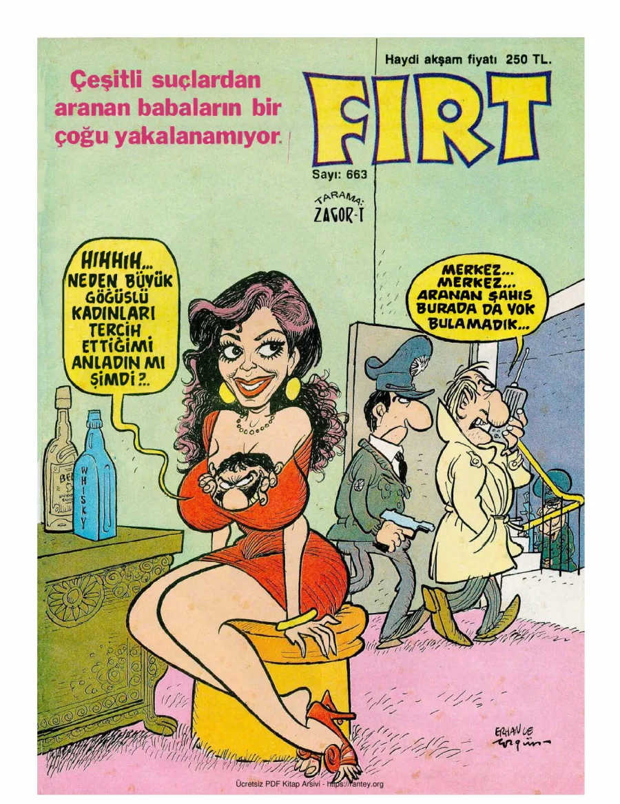 Fırt 1988 Sayı 663 kapak görseli