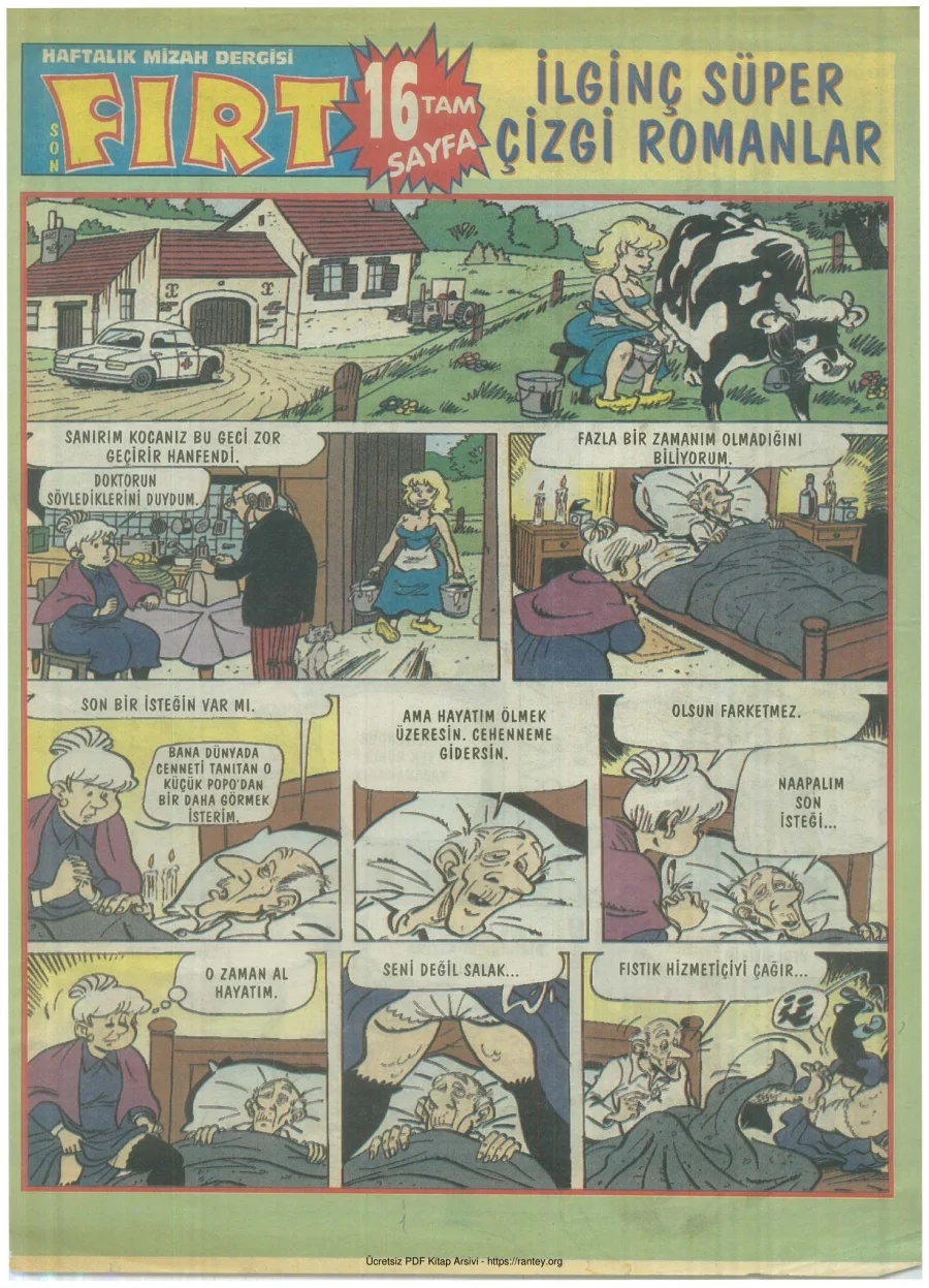 Fırt - Çizgi öyküler 25 kapak görseli