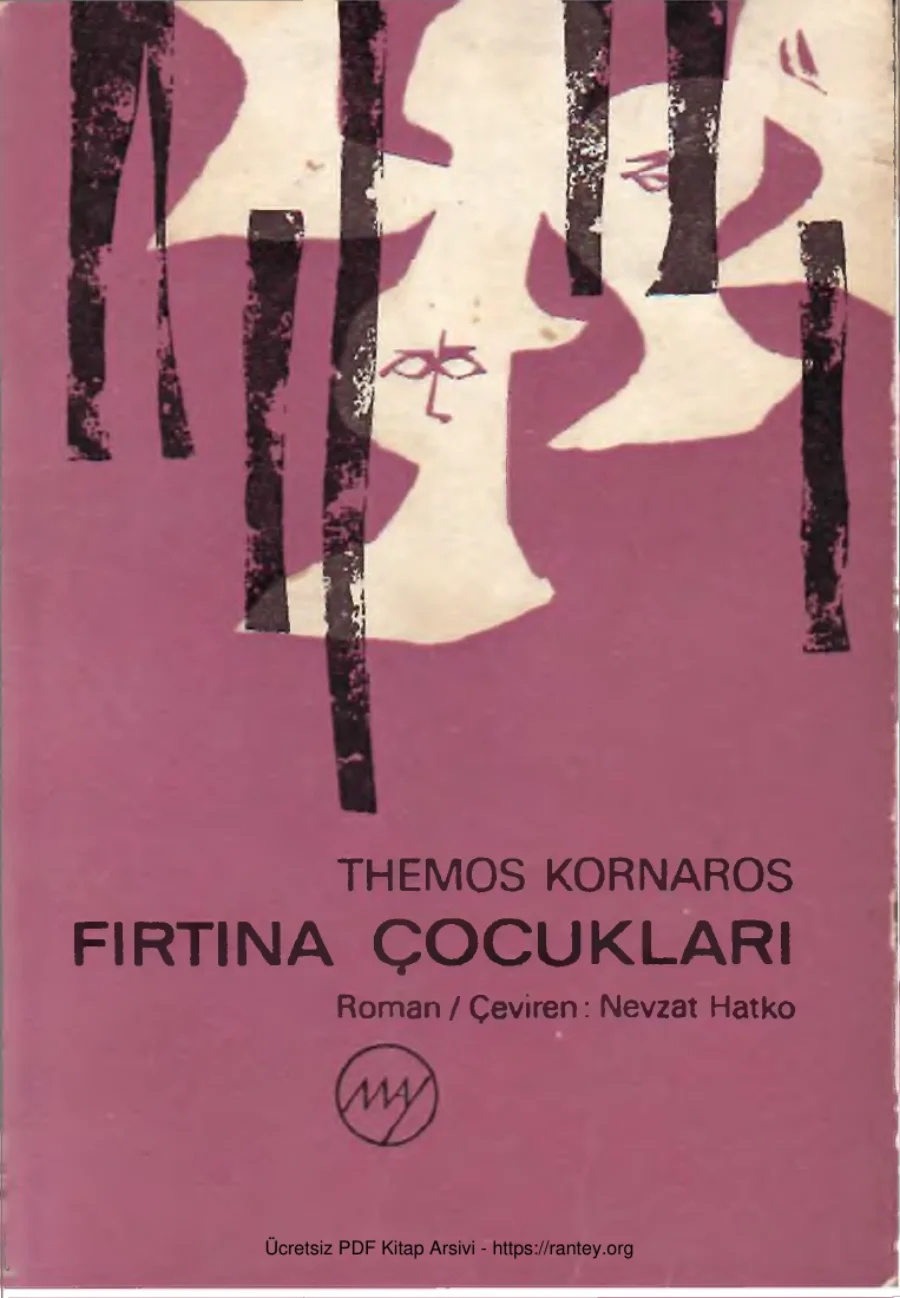 Fırtına Çocukları kapak görseli