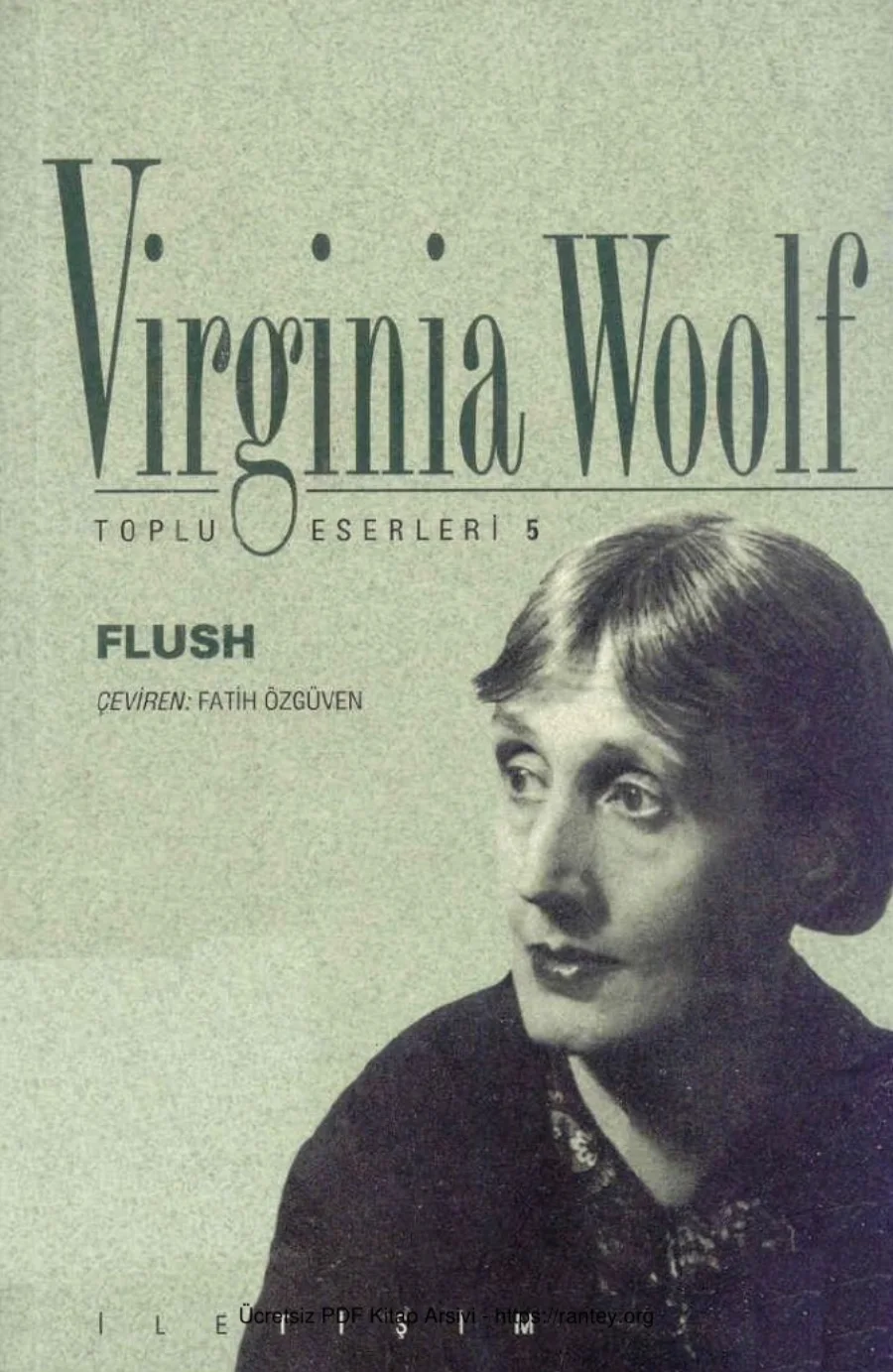 Flush kapak görseli