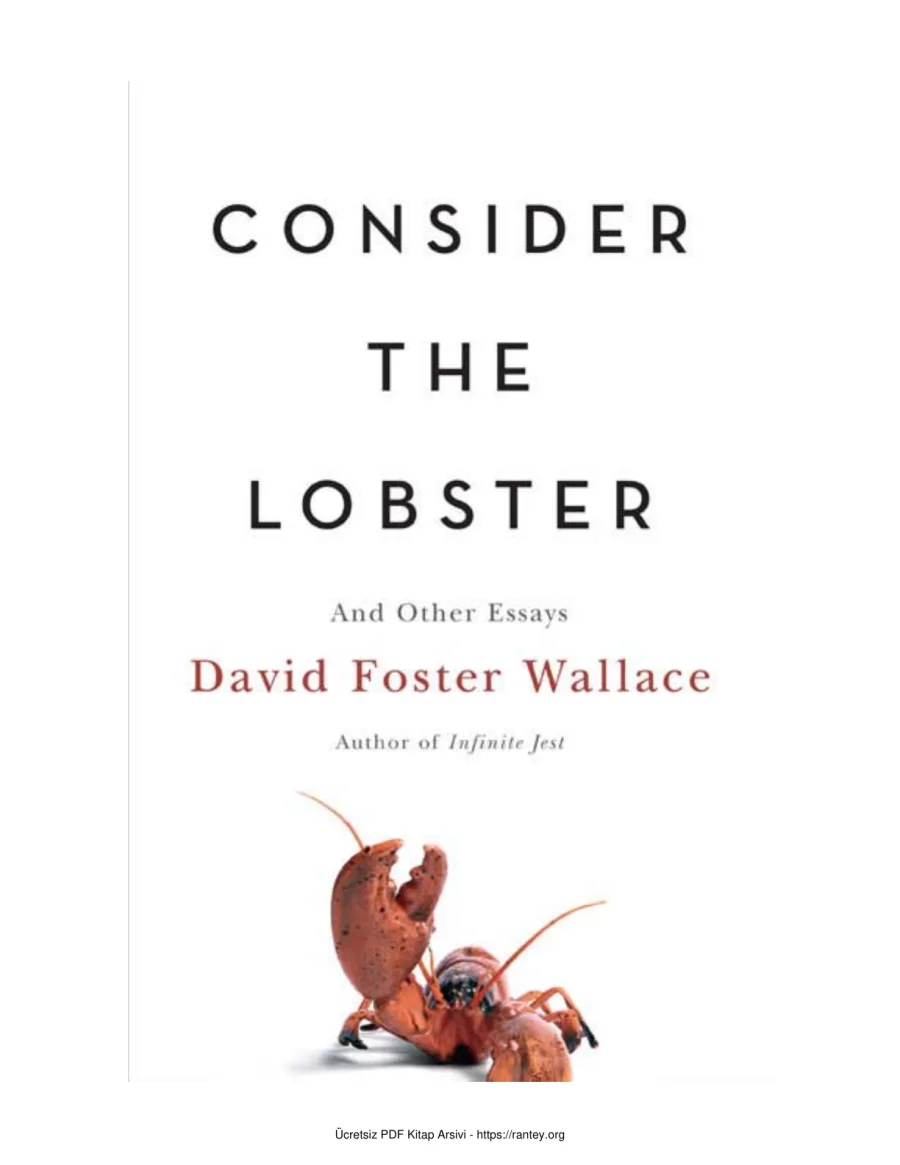 Foster Consider the Lobster Other Essays Little Brown kapak görseli