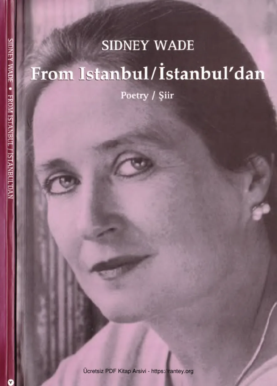 From İstanbul İstanbuldan kapak görseli