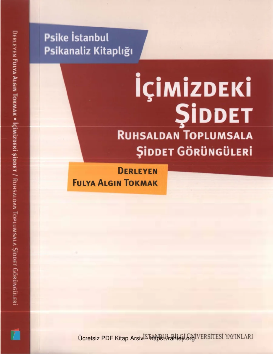 Fulya Algın Tokmak İçimizdeki Şiddet kapak görseli