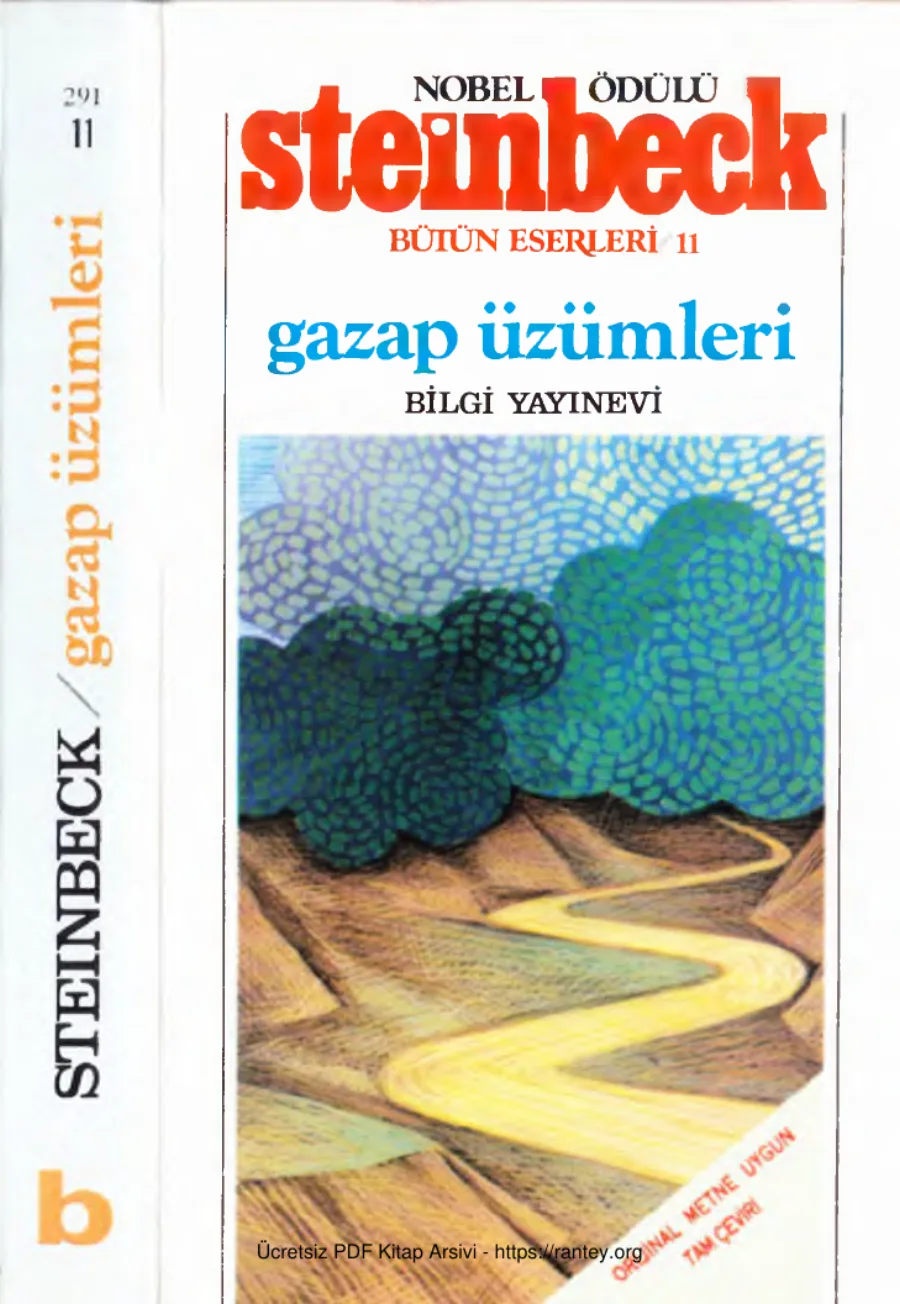 Gazap Üzümleri Bilgi Yayınevi kapak görseli