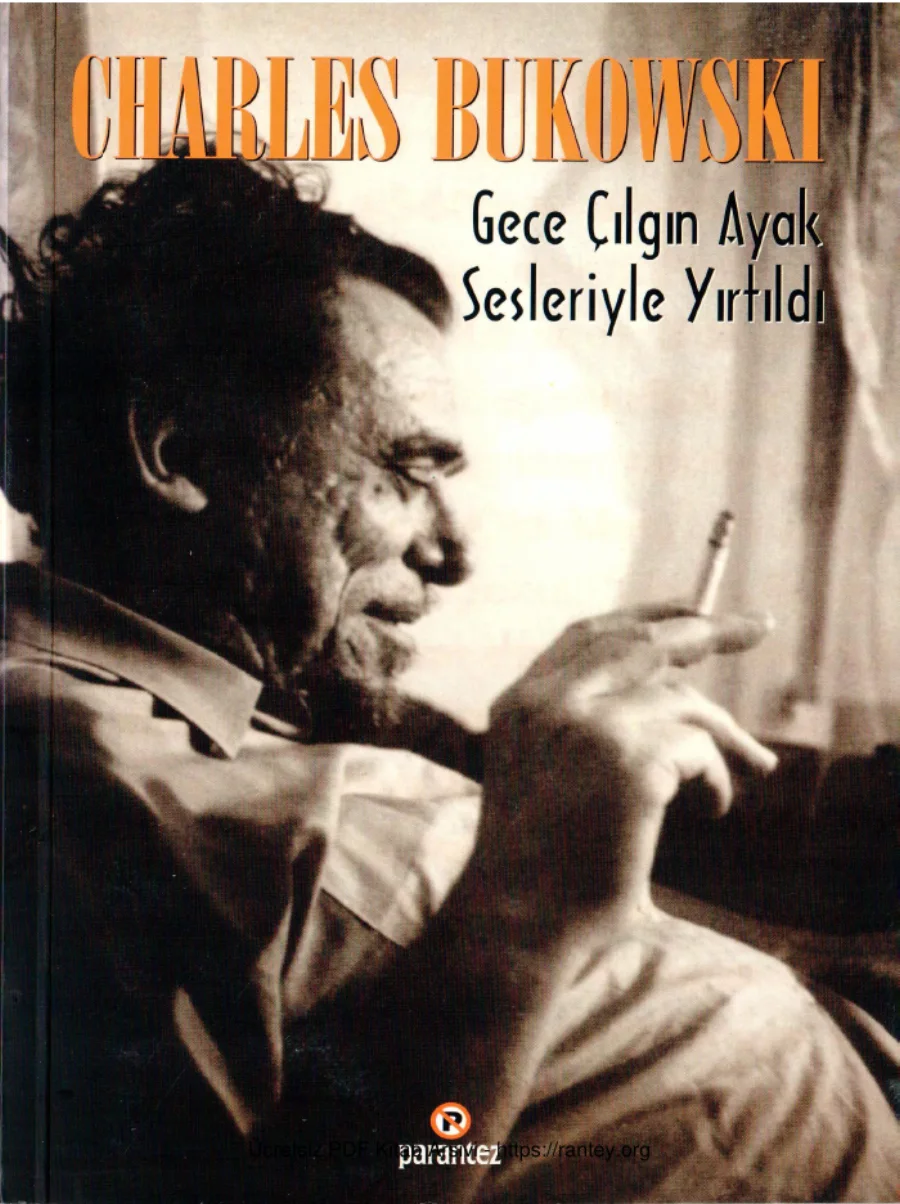 Gece Çılgın Ayak Sesleriyle Yırtıldı kapak görseli