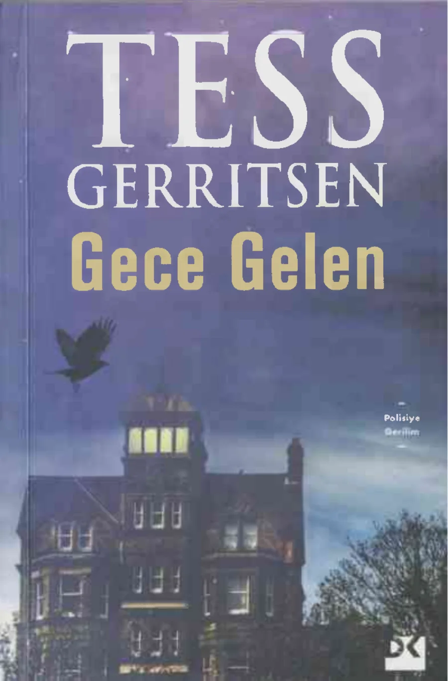 Gece Gelen kapak görseli
