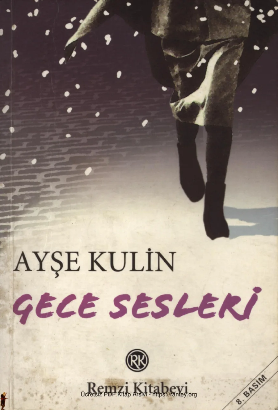 Gece Sesleri kapak görseli