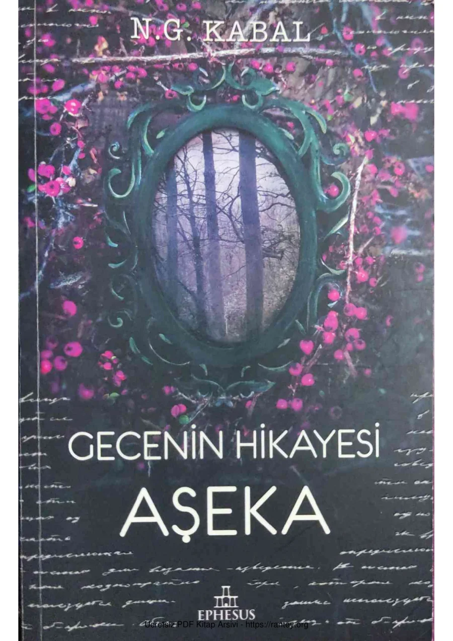 Gecenin Hikayesi 2: Aşeka kapak görseli
