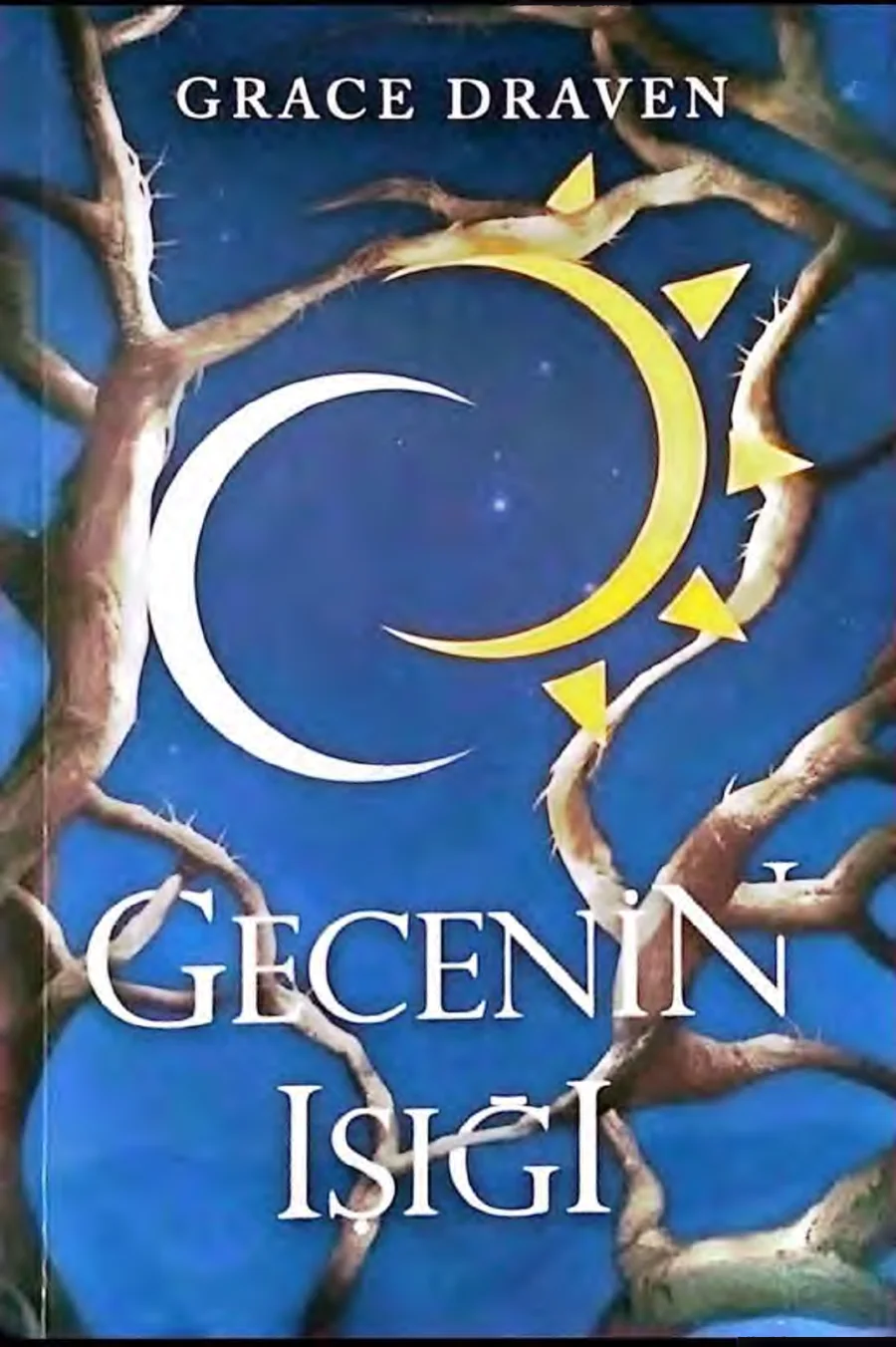 Gecenin Işığı kapak görseli