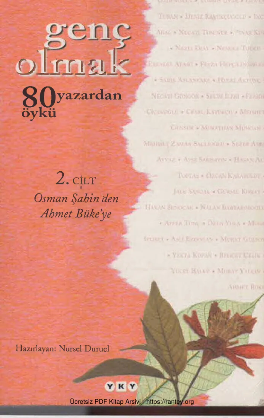 Genç Olmak kapak görseli