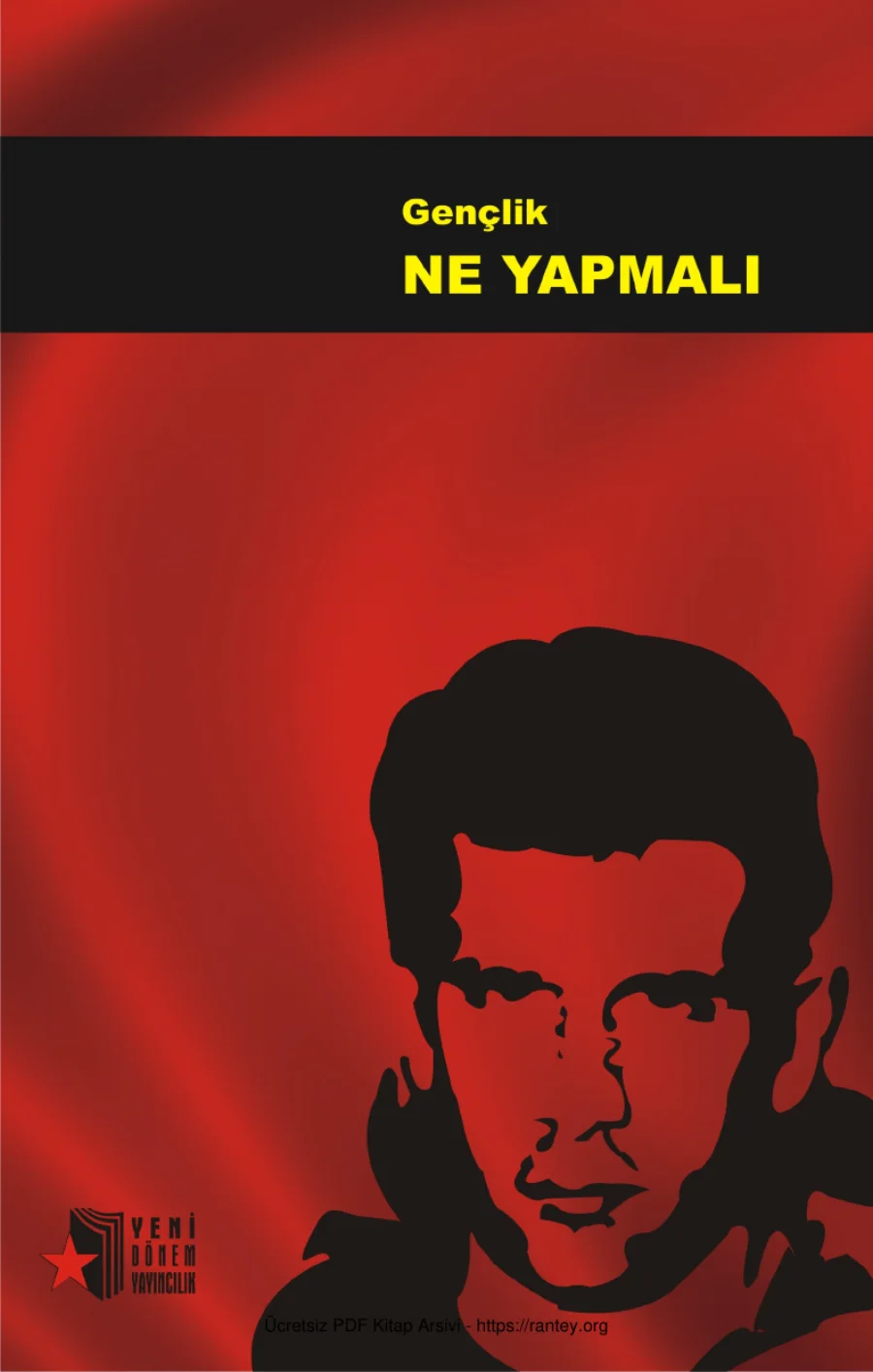 Gençlik Ne Yapmalı kapak görseli