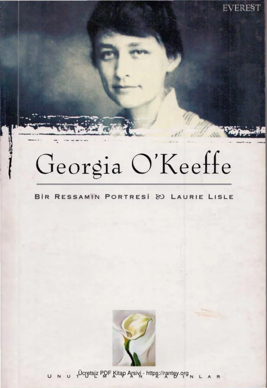 Georgia OKeeffe Bir Ressamın Portresi kapak görseli