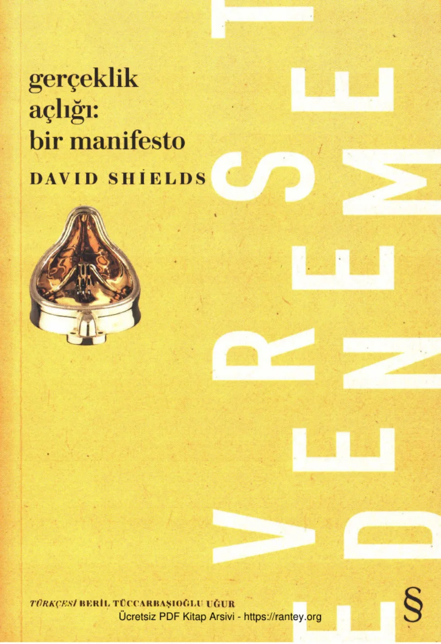 Gerçeklik Açlığı Bir Manifesto Everest Yayınları kapak görseli