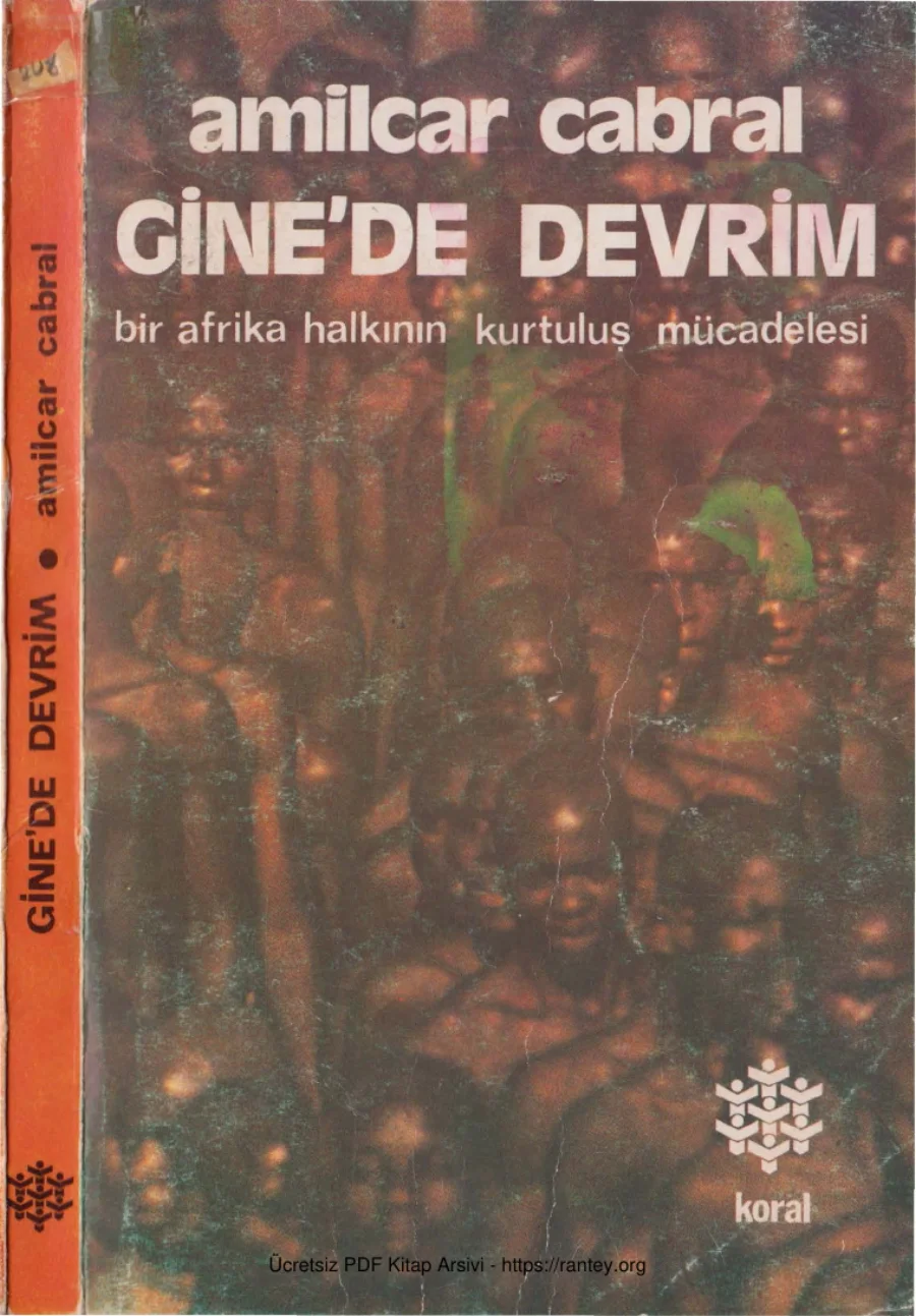 Gine'de Devrim: Bir Afrika Halkının Kurtuluş Mücadelesi kapak görseli