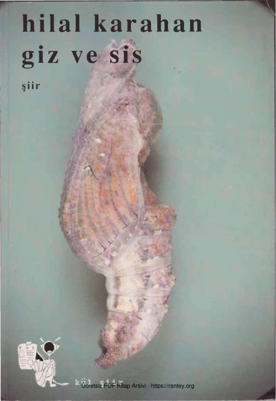 Giz ve Sis Kül Sanat Yayınları kapak görseli