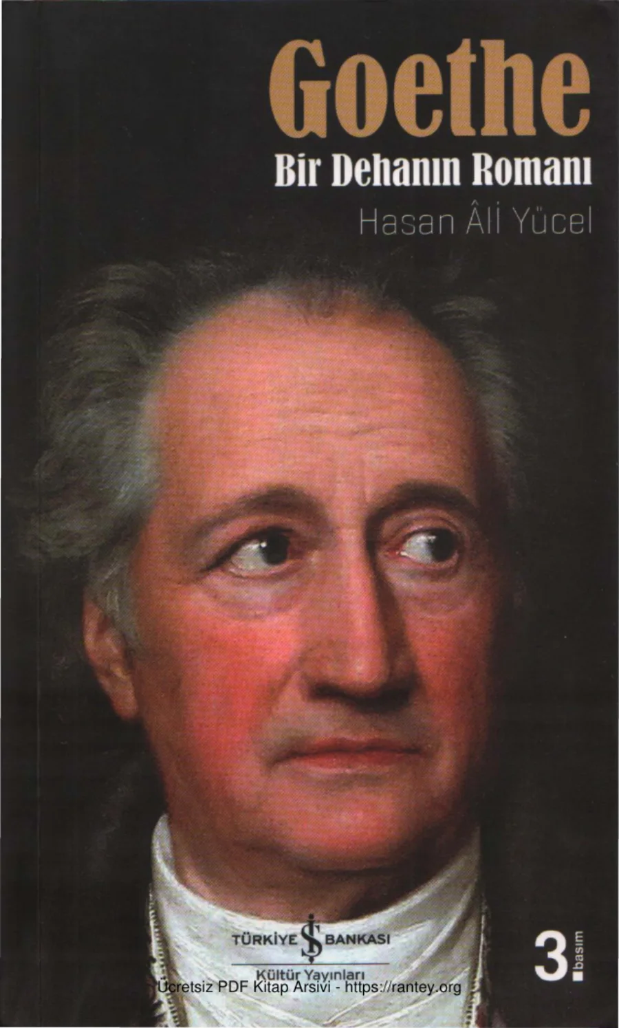 Goethe Bir Dehanın Romanı kapak görseli