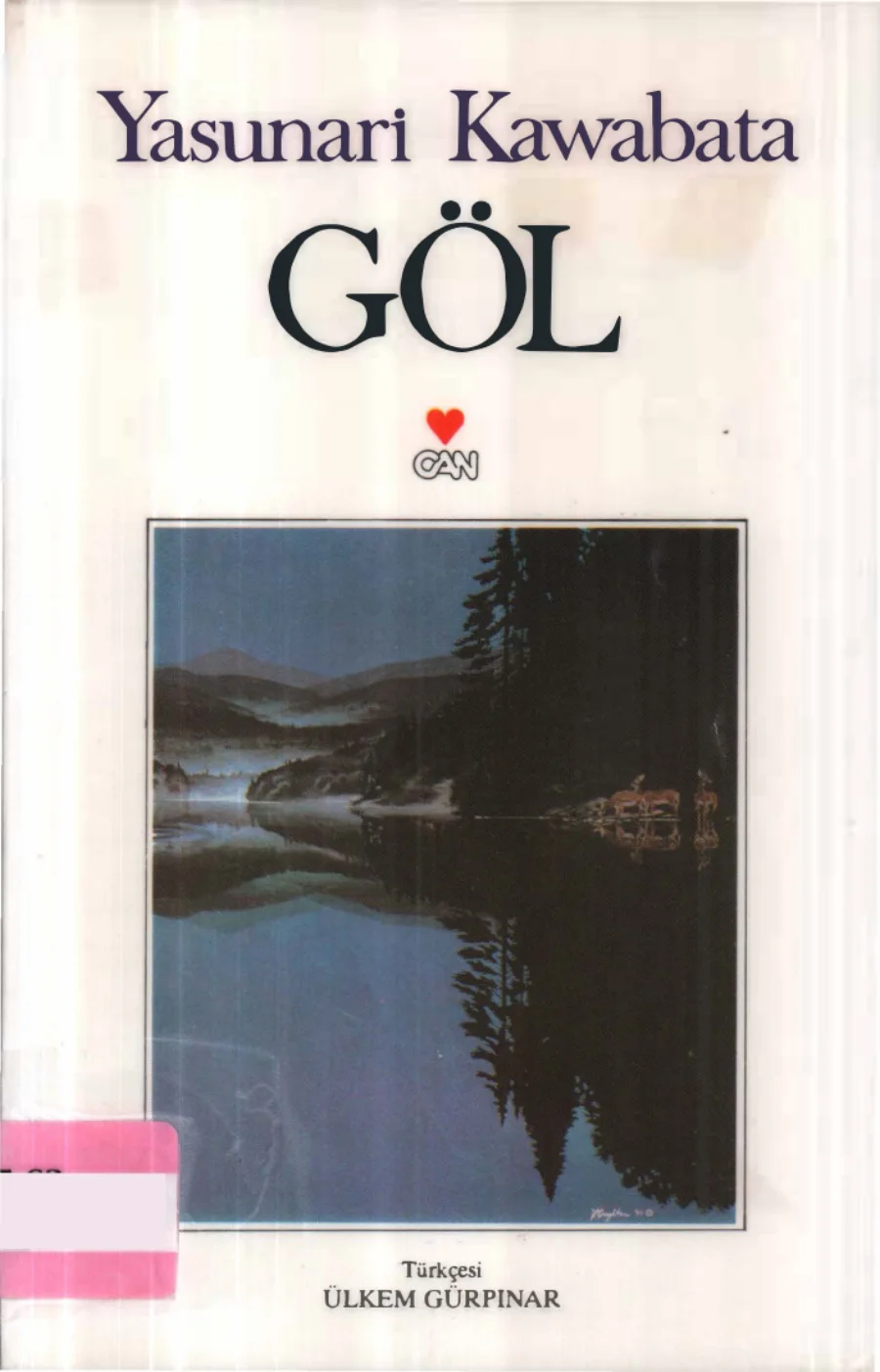 Göl kitap kapağı