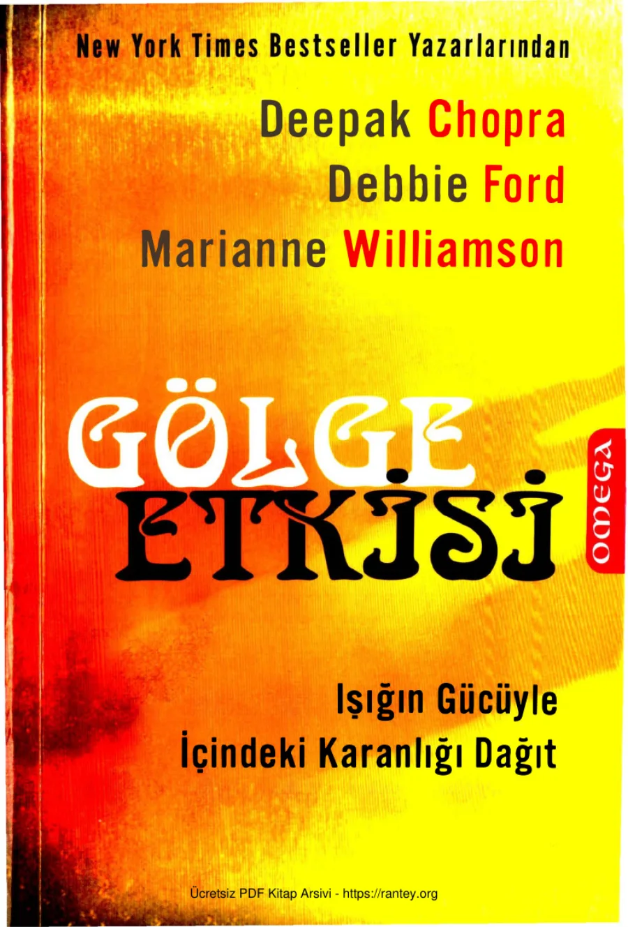 Gölge Etkisi kapak görseli