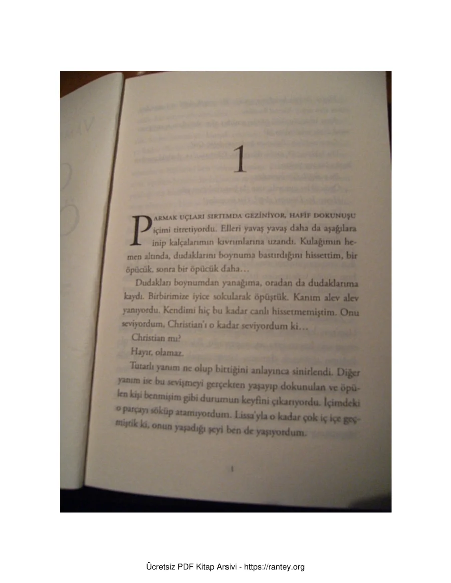 Gölge Öpücük Vampir Akademisi 3 Kitap kapak görseli